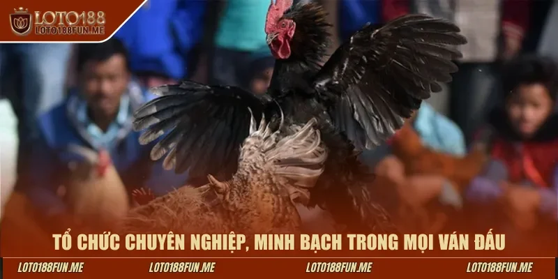 Tổ chức chuyên nghiệp, minh bạch trong mọi ván đấu